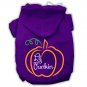 LIL PUNKIN Pet Rhinestone Hoodie Sizes Xsmall - Large Pet Outerwear For Cats and Dogs