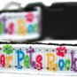 NEW SHELTER PETS ROCK (6" - 10") Safety Soft Cat Collar