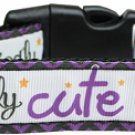 NEW WICKEDLY CUTE Size XSmall (6"-10") & Small (10"-14")Halloween Soft Dog Collar