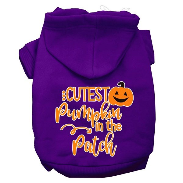 CUTEST PUMPKIN IN THE PATCH Pet Hoodie Sizes XSmall - Large Pet Outerwear For Cats and Dogs