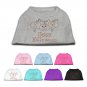 HAPPY HALLOWEEN PUMPKINS Halloween Pet Shirts Sizes XSMALL  - Large