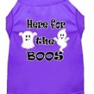HERE FOR THE BOOS Halloween Pet Shirts Sizes Xsmall - Large