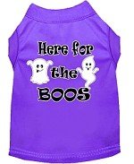 HERE FOR THE BOOS Halloween Pet Shirts Sizes Xsmall - Large