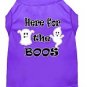 HERE FOR THE BOOS Halloween Pet Shirts Sizes Xsmall - Large
