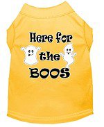 HERE FOR THE BOOS Halloween Pet Shirts Sizes Large - XXXLarge