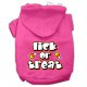 Halloween, Pumpkins and Fall Dog Hoodies