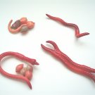 Earthworm Life Cycle Figures w/ Free 3-part cards