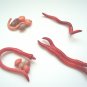 Earthworm Life Cycle Figures w/ Free 3-part cards