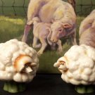 Enesco "Home Grown" SHEEP Salt & Pepper Shakers