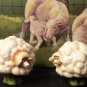 Enesco "Home Grown" SHEEP Salt & Pepper Shakers