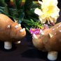 Enesco "Home Grown" HIPPO Salt & Pepper Shakers