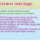 Stevico Nutri-Age