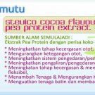 Stevico Cocoa Flavour Pea Protein Extract