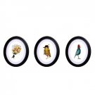 Black Oval Photo Frame Set of 3