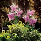 Set of 2 Purple Solar Butterfly Stakes