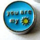 you are my sunshine floating charm
