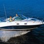 Searay 245 Sundancer