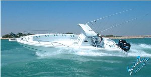 Sea Dhan 360