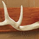 Antlers Hooks Plaque