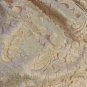NWT Banana Republic BR Monogram Collection Full Metallic Skirt 6 Gold