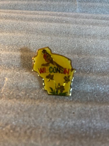 Wisconsin Pin P-133