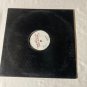 Kamikaze – Tokyo Rose (3 Tracks) Promo 12" Single - A&M Records –LP~Vinyl NM *