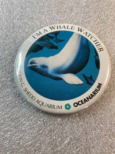 I'M A WHALE WATCHER PINBACK BUTTON SHEDD AQUARIUM CHICAGO~B-128