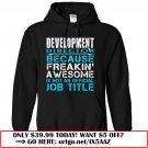 a1 development director