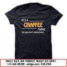 chaffee thing understant st421
