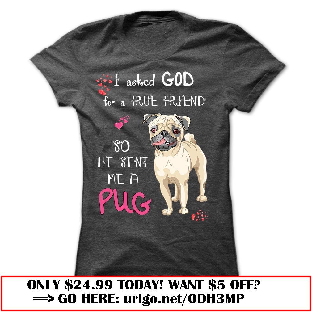 god sent me a pug as a true friend