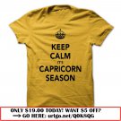 keep calm its capricorn season