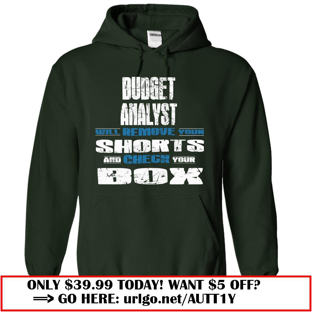 budget analyst  -check