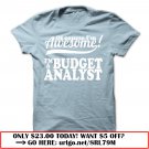 budget analyst