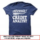 credit analyst