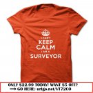 i cant keep calm  -surveyor