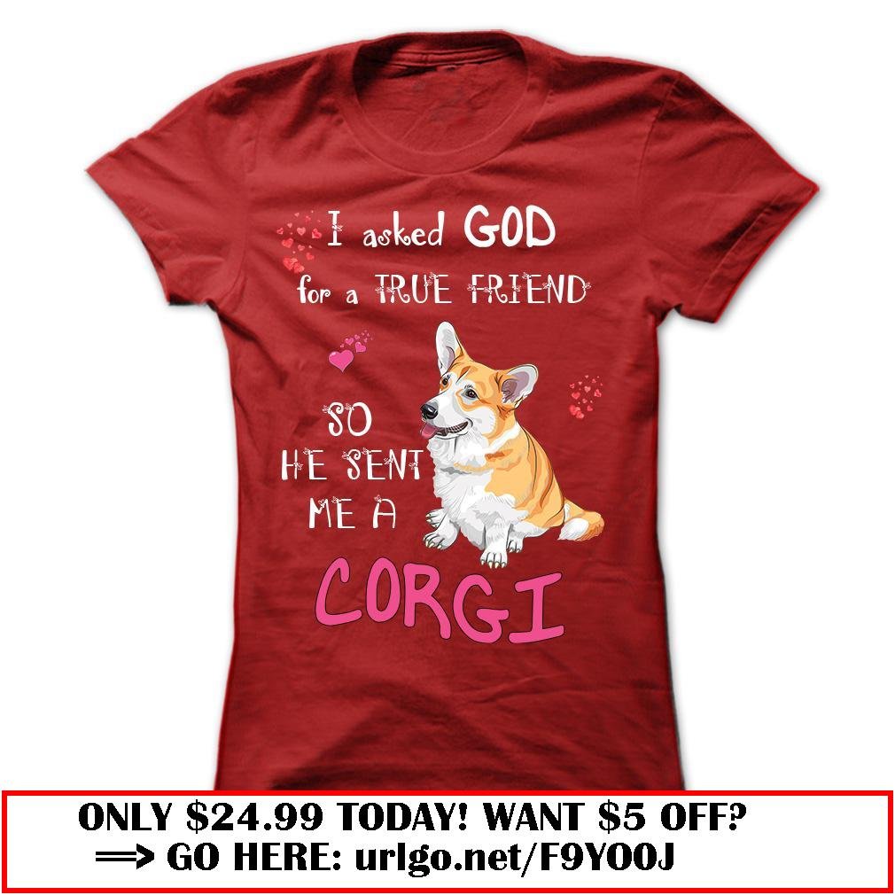 god sent me a corgi as a true friend