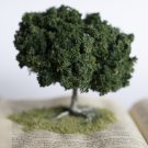 Harry Potter Tree Book (And the Chamber of Secrets)