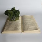 Harry Potter Tree Book (The Prisoner of Azkaban)