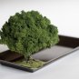 Key Tray / Coin Tray / Trinket Tray with Tree
