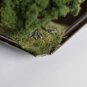 Key Tray / Coin Tray / Trinket Tray with Tree