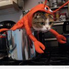 crab costume for cat