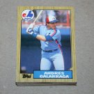 1987 TOPPS BASEBALL - Montreal Expos Team Set + Traded Series