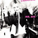 Sex and the City Essentials: The Best of Mr. Big (DVD, 2006)
