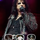 Alice Cooper Licensed Live Performance Guitar Picks Set Display