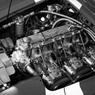 1967 Works Austin Healey 3000 MkIII Engine - Rally Car Photo Print
