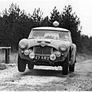 Timo Makinen Works Austin Healey 3.0 racing at 1962 R.A.C. Rally - Rally Car Photo Print