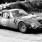 Raffaele Pinto Alfa Romeo TZ2 Autodelta racing at 1966 Targa Florio - Rally Car Photo Print