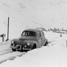 Barbier-Rastif Peugeot 203 Coupé 1954 Coupe des Alpes - Rally Car Photo Print