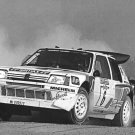 Peugeot 205 T16 rallying at 1986 Sanremo - Rally Car Photo Print