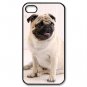 Free Shipping Wolf Dog Horse Aluminium Alloy Plastic Hard Back Cover Case for iPhone 5/5S